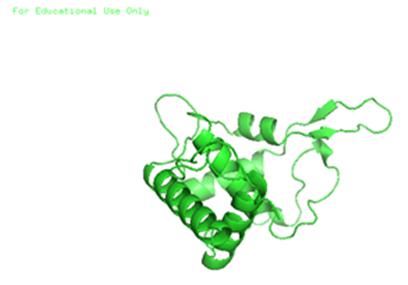 Figure 5: The predicted complex structure in PDB format of _Plasmodium falciparum_ 40SProtein S7 docked with 027.MMV676270.