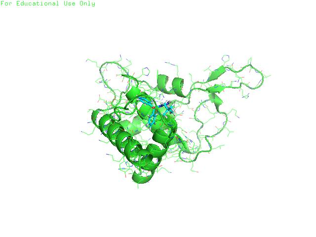 Figure 8