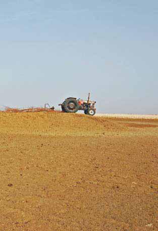 Figure 2: The tractor has enabled a massive expansion of mechanized agriculture, fundamentally altering the landscape of central Sudan, as here in Gedaref state [2]. 7. Conflict between Sedentary herders and Nomads-A further complication is that sedentary farmers are increasingly raising their own livestock, and are hence less willing to give grazing rights to nomads in transit. In environmental terms, the reported is overgrazing and land degradation. In social terms, the reported consequences for pastoralsist societies is an effectively permanent loss of livelihoods and entrenched poverty [5]. 8. Instable economic policies- concerning agricultural development resulted in deterioration of crop production. This is because the money devoted in government’s budget supporting and protecting the producers (the farmers) can be easily shifted to satisfy urgent needs other than agriculture. Moreover, farmers during harvesting time are used to put under the mercy of market monopolies that are always enforcing poor prices [6]. The government always does not keep its promise to the farmers to buy grain crops at higher prices than those of the merchants. Only small quantities of the harvested crops were used to be bought by the government. This is because the money allotted in the budget to build a strategic stock was not available. it is more logical to anticipate that in the coming season, The farmers are seemed to be discouraged and they lack any motivation to cultivate their farms. This is definitely led to the reduction of the total production of grains and consequently resulted in food insecurity in the coming years. It is worth mentioning that that the trade liberalization policy announced in year 1992 had encouraged farmers to cultivate more lands since the prices of their products will be high. Unfortunately this vast expansion of cultivated land was faced by shortage of seasonal labour working in manual cultivation of thousand feddans in the mechanized rain fed schemes. This shortage in labour had resulted in abandoning the harvesting of these areas due to the fact that the harvesting costs were exceed the market crop prices [7]. **9. Traditional Gold Mining-** Considerable number of young famers and pastoralists nowadays abandon their lands and left their herds in the River Nile, North Kordofan and North Darfur States. They are working now in traditional gold mining which provides them with better income compared to cultivation or herding [5]. **10.** **Impose of heavy Taxes on framers-** Heavy taxes imposed on farmers make cultivation unattractive occupation. This is because these taxes exceed the total cost of production [8]. **11.** **The Agriculture Bank of Sudan lending policy-** The Agriculture Bank of Sudan is only financing farmers who cultivate 1000 feddans. This policy prevents the farmers from adopting fallowing of their lands and this encourages the deterioration of the soil fertility. as the consequence the productivity of these schemes was drastically dropped and therefore threatens the food security of the whole country, Moreover, even the farmers who are financed by this bank always get their credit late in the season and therefore the farmers are unable to sow their crops at the optimum time and of course reflected in poor production and in many cases the farmers are used to be sent to prisons due to their inability to pay back the loans to the bank [8]. **12.** **Refugees from neighbouring countries**- Influx of emigrants from neighbouring which either suffers from drought and desertification and/or tribal conflicts and civil threatens food security of the country [9]. **13.** **Food Smuggling**- Smuggling of food crops to neighbouring countries for example sorghum, wheat and sugar occurs at the expense of the Sudanese food security [9]. **14.** **Investment in Sudan**- Investment in agriculture is faced by a lot of constraints due to the conflict of interest between the central government and the states in taking decisions on agricultural land regarding their use by Sudanese citizens or by foreign investors. **15. Foreign Investment in Sudan**- Complicated or cumbersome constraints face the foreign investors and discourage their investment in crop production sectors [10]. **16.** **Poor marketing channels and distorted economic** **structure**- They are discouraging farmers because farmers are used to be exploited by monopolistic and oligopolistic forms of trade [9]. **17.** **Informal credit sources-** squeeze the mechanized rain fed farmers and exploit them by return their money in terms of seeds at lower prices regardless of the fact that they are just give the farmers seeds and not money to sow their lands. **18.** **Absence of food security policy**- Supporting food security policies is not one of the government’s priorities and it was ranking down the list [9]. **19.** **Poor rural development. It enhances-** the destruction of the production systems. This can be attributed to the fact it encourages rural – urban migration and as it was mentioned before that the majority of the Sudanese population in rural areas are working in cultivation and/or herding [2]. **20. Unsecured land tenure in mechanized rain- fed** **agricultural schemes-** enhances land degradation. This may be due to the fact that the farmers are not willing to spend their money in conserving schemes which are not actually owned. Therefore lands of these schemes were degraded and soils deteriorated and consequently their productivity is declining which may lead to food insecurity [7].