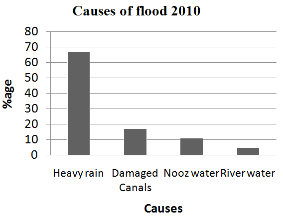 Figure 11: Showing causes of 2010 flood in study area. Regarding the intensity of the 2010 flood in Shore Kot area majority (60%) people says that the flood was more Journal of Ecology & Natural Resources