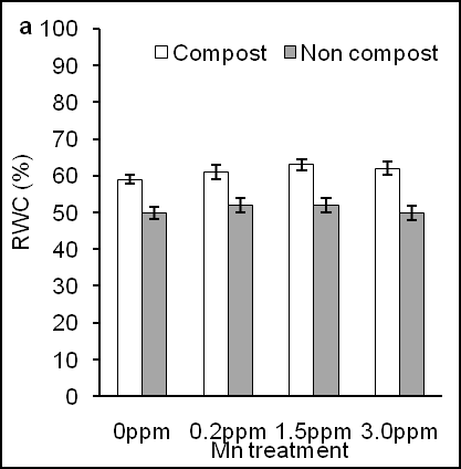 Figure 4: Effects of different concentration of Mn on photosynthesis rate in leaves of sweet potato in the presence of compost (open bars) and absence of compost (closed bars). Error bars indicate standard deviation with 5 replicates.