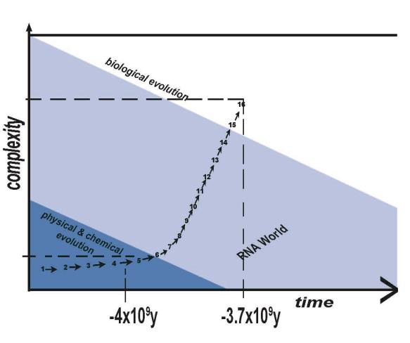 Figure 8: This model implies life’s origin emerged, and was sustained, in terms of sequential, entanglement-enabled evolutionary increments [13-16]. A set of increment arrows (→) in Figure 8 identifies the following sequential (or simultaneous) developments over the three phases of primordial evolution**:** monomers → oligomers → ribozymes → duplication of nucleotides → duplex RNA polymer segments → entangled proton qubits → ribozyme – proton entanglements → quantum transcription of entangled qubit-pairs → quantum translation of entangled qubit information → quantum selection of triplet code → construct polypeptides → enzymes from ribozyme – proton entanglements → replication via enzymes → introduction of repair enzymes → genome chemistry selection, RNA replaced by DNA → duplex DNA genomes, etc.