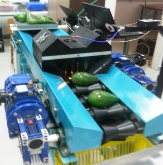 Figure 2: The new "grommet" developed in this study to improve the conveying track of non-spherical fruits such as avocado.