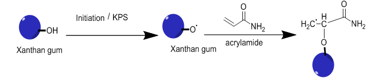 Figure 2: IR- spectra of xanthan and xanthan-g-polyacrylamide polymer.