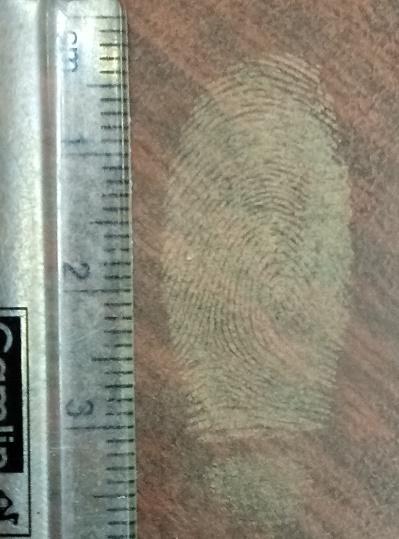 Figure 1: Evelopment of latent fingerprints on Plywood surface.