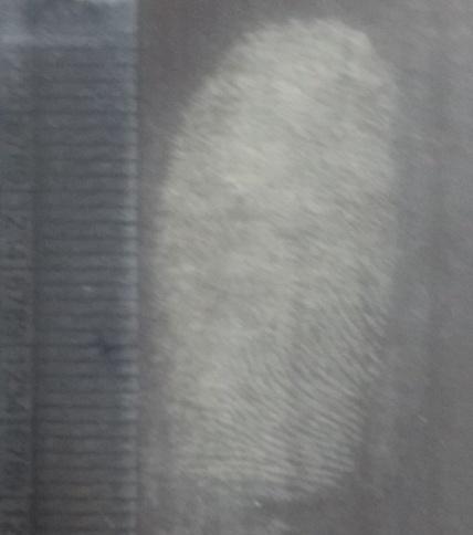 Figure 11: Development of latent fingerprints on Porous Wooden Surface