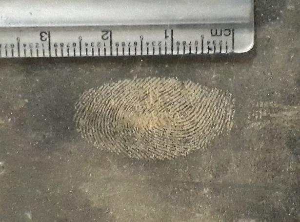 Figure 3: Development of latent fingerprints onPlastic sheet surface.