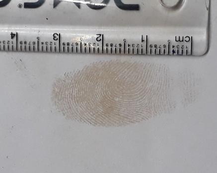 Figure 7: Development of latent fingerprints on Compact Disk (CD)