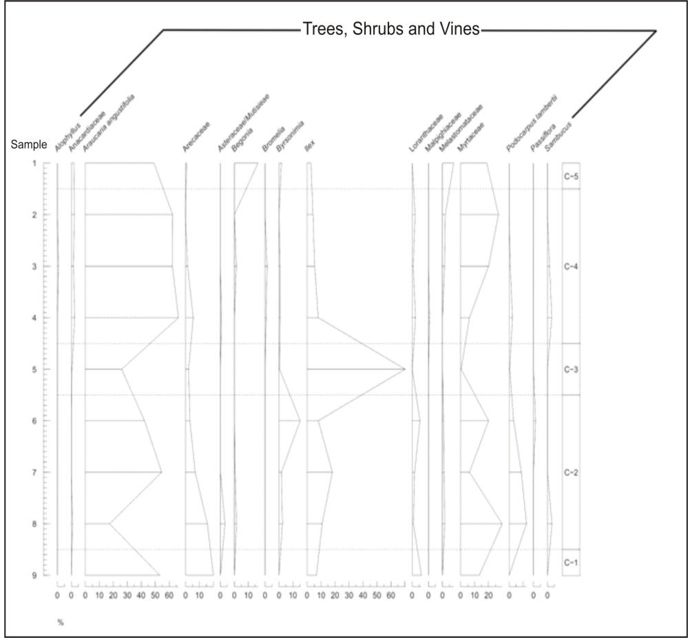 Figure 2: Pollen diagram of the percentage of the sediments profile samples: Trees, Shrubs and Vines.