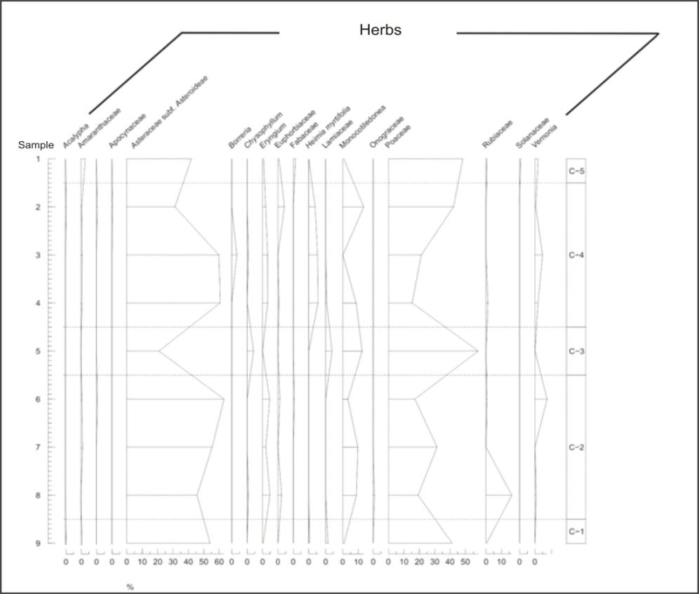 Figure 3: Pollen diagram of the percentage of the sediments profile samples: Herbs.