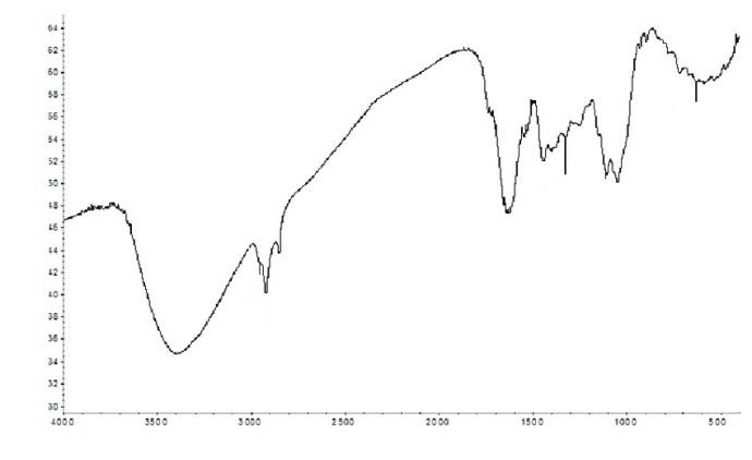 Figure 9: Infrared Photodissociation Spectroscopy analysis of malignant human cancer cells and tissues (a) before and (b) after irradiating of synchrotron radiation in transformation process to benign human cancer cells and tissues with the passage of time.