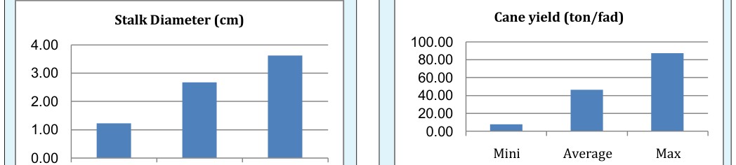 Figure 2: Stalk diameter range for evaluated sugarcane germplasm.