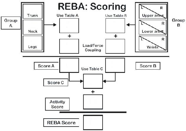 Figure 1: REBA Scoring.