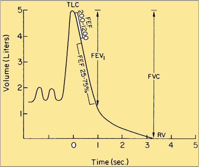 Figure 3: Predicting lung Volumes.