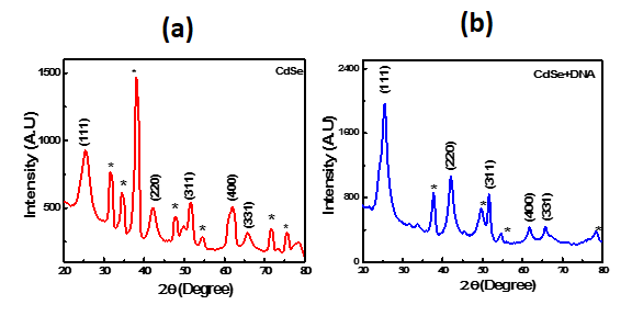 Figure 1: Structural