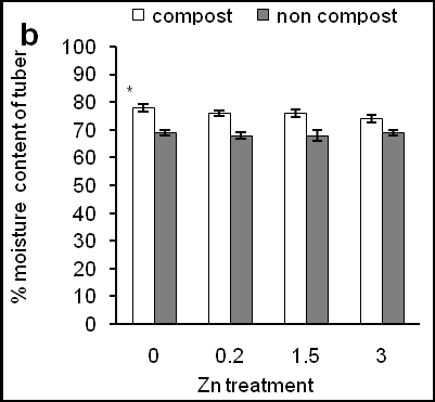 Figure 3: Effects of Zn on relative water content in leaves of sweet potato in the presence of compost (open bars) and absence of compost (closed bars). Effects of Zn on moisture content of tuber in the presence of compost (open bars) and absence of compost (closed bars). Figure 3a shows that 0.2 ppm of Zn showed significantly higher RWC in leaves than other Zn treatment while a higher concentration of Zn (3 ppm) and control treatments showed a similar result. Furthermore, compost application not only increased RWC (Figure 3a; under 0 ppm of Zn) but also increased RWC in leaves of Zn-treated sweet potato (Figure 3a; compared between open and closed bars). In addition compost-treated RWC in leaves was similar and irrespective of Zn application (Figure 3a; open bars). In a case of the moisture content of tuber, both of Zn and compost alone did not affect moisture content (Figure 3b). This result is consistent with RWC content in compost-treated plants (Figure 3a). When data were compared between Zn and compost application, we found that compost significantly increased moisture content in tuber than that of compost-untreated plants. These results suggest that composting in sandy soil might increase soil health, such as water retention capacity, reduce soil temperature, to increase RWC in leaves of sweet potato plants. Figure 4 shows net photosynthesis rate in leaves of sweet potato plants treated with composting and Zn.