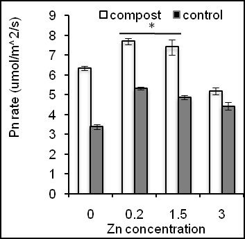 Figure 6: Effects of Zn on ash content of sweet potato in the presence of compost (open bars) and absence of compost (closed bars). Effects of Zn on fiber content of sweet potato in the presence of compost (open bars) and absence of compost (closed bars). Effects of Zn on crude protein content of sweet potato in the presence of compost (open bars) and absence of compost (closed bars). Error bars indicate standard deviation with 5 replicates.