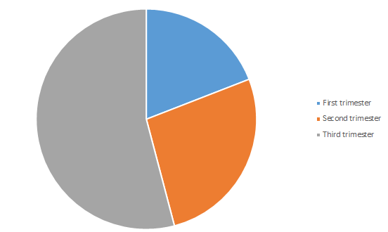 Figure 2: A chart showing the three trimesters and the number of patients per trimester.