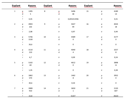 Figure 6: Result counting type A axons in each group.