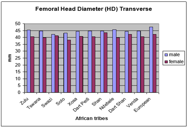 Figure 2: Head diameter (HD): Sexual dimorphism was significant in all the tribes except Shan, Dart Shan & Swazi (** p<0.01, ***p<0.001 ***Zulu, Tsuwana, Xosa, Ndebele, Sotho, Venda, SAED; **, Dapeti ).