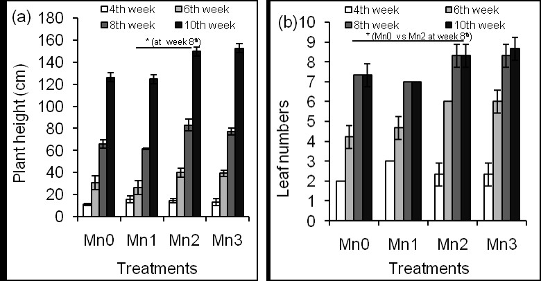 Figure 1: Effects of different concentrations of Mn on plant height (a) and leaf numbers (b).