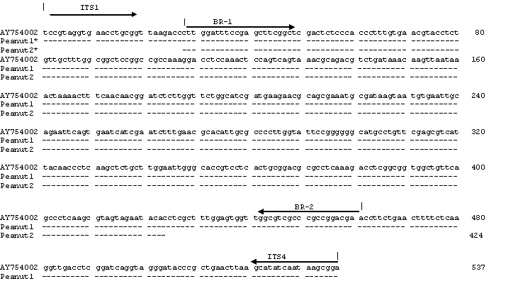 Figure 1: Copyright© Chiou RYY, et al.