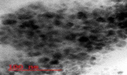 Figure 2: Particle size distribution of CS-DTPA/TPP nanoparticles (CS/DTPA=1:1).