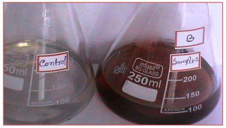Figure 3: Showing the biosynthesis of Ag- Nanoparticles.