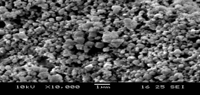 Figure 7: Showing SEM images of biosynthesized Silver Nanoparticles.