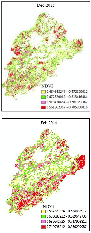 Figure 5: Monthly NDVI maps of wheat crop in study area.