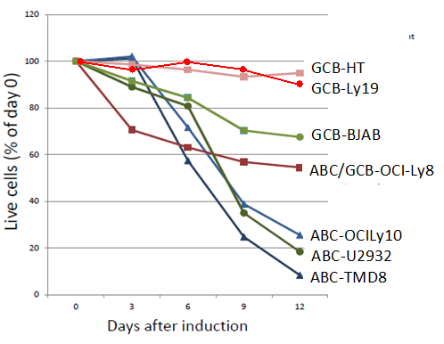Figure 4: Microarray Analysis of Inducible Shrna Knockdown of ABC-DLBCL Lines.