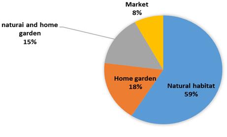 Figure 3: Traditional medicinal plant species. Conditions of preparations of traditional medicine in the study area: A large number (85%) of medicinal plants were cited to be used in fresh form in remedy preparations. Relatively few medicinal plants (12%) in dried form and the rest very few medicinal plants (3 %) were reported to be used as dried and fresh forms (Figure 4).