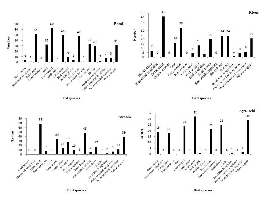 Figure 1: Lower species richness of birds in this area is attributed due to the smaller size of the wetland [13]. As reported earlier from the Western Ghats, highest number of birds was recorded during the months of winter and there was a reduction in population size during the monsoon [14]. Many factors, which threaten the wetland ecosystem and in turn the bird population, were identified during the study. Birds use wetlands as a source of drinking water and for feeding, resting, shelter and social interactions [15]. Pollution, mainly from the chemical effluents is the major threats faced by birds in this ecosystem. These study areas are one of the major feeding grounds of many water birds and other resident species. The local people use water that has leaked out from this tank for agricultural activities and there by this polluted water would reach all the adjoining bird visiting areas. During summer season the local dwellers empty the scanty water bodies and catch fish. Uncontrolled fishing depletes the food sources of wetland birds. Small sized gill nets are used for fishing which results in the removal of even small sized fishes, indirectly affecting the availability of food for birds.
