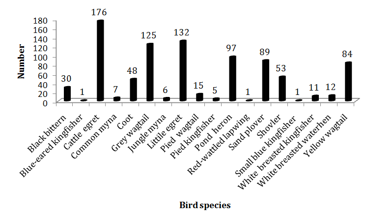 Figure 2: The Shannon index (H^) shows there is no much variation within the habitat types. Likewise the dominance (D) within the habitat types has a slight variation Table 3. The data analysis was also shown that most number of birds was seen during November month followed by January and October. Very low sighting of wetland birds seen during February month where there was shortage of water during this period Figure 3.
