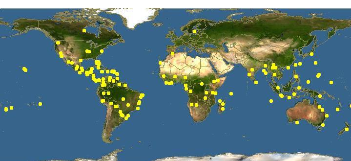 Figure 3: Distribution showing papaya plant cultivation all over the world.