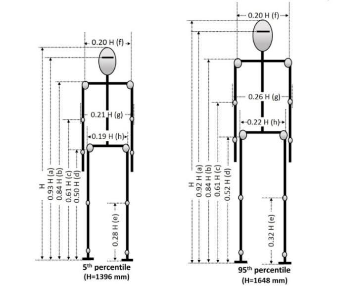 Figure 2: Segmental proportions as a function of stature (H) for different percentile female agricultural workers of central India in standing posture (a: eye height, b: acromial height, c: olecranon height, d: trochanteric height, e: knee height, f: biacromial breadth, g: elbow-elbow breadth, h: hip breadth).