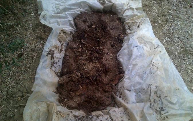 Figure 2: Mature vermicompost.