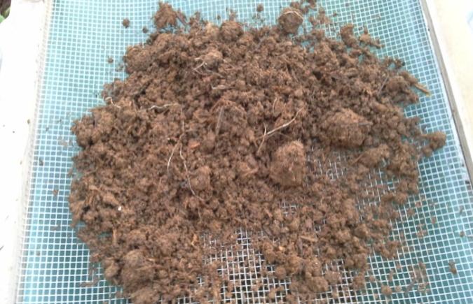 Figure 3: Screening of the vermicomposting litter.