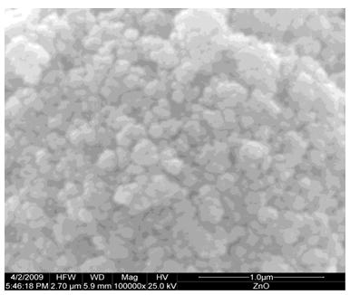 Figure 2: SEM images of the nanocrystalline ZnO thick film.