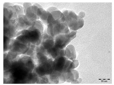 Figure 3: TEM images of the nanocrystalline ZnO thick film.