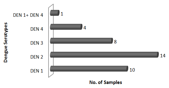 Figure 5: Distribution of samples according to Dengue Serotype among the PCR positive serum samples (n=37).