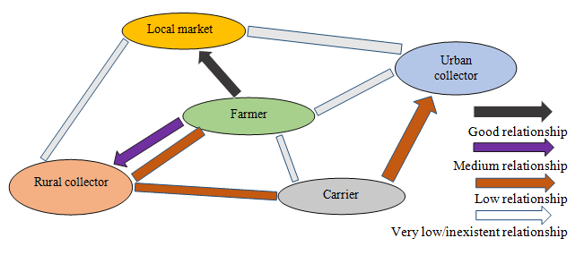 Figure 1: Distribution of squash varieties grown by gender (%).