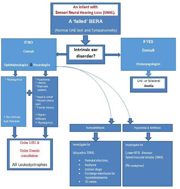 Figure 1: When the combination of signs is clear-cut, it soon becomes a very sensitive and highly specific combination of characteristics, which directs us to defects of white matter of the CNS.