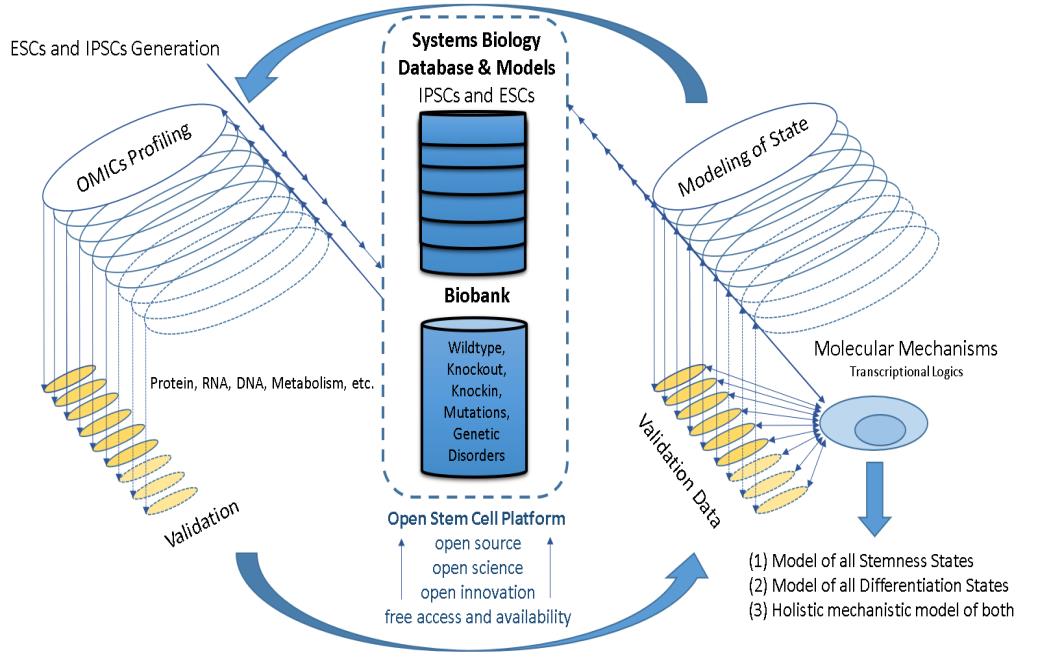 Figure 1: Different methods and laboratories could collaborate and compete to find the best understanding and breakthroughs on a fair and informative open access platform of open science, which should be transparent, collaborative and accessible [8,19]. This system biology project could have free access bio banks and free access databases and information for ESCs and iPSCs that are accessible for all researchers internationally, free for research purpose mainly, and affordable for the industry, which could save many redundant costs and resources for all (see Figure 1). It would help to develop biomedical read-out cellular assays using the iPSCs cell lines that carry an important biomedical mutation of a human disease. All scientists would have access to the latest research and research materials that would make international stem cell research one fair and more competitive collaboration with better incentives for researchers that would also require sustainable career paths (sustainable career path for scientists in academia and the industry are highly needed, as this top-level workforce is still disadvantaged worldwide and fairness remains highly elusive). The molecular mechanisms and logics [3,4,9] can be best revealed if all facts are systematically brought together to connect the dots in open science’s systems biology free platform for all.