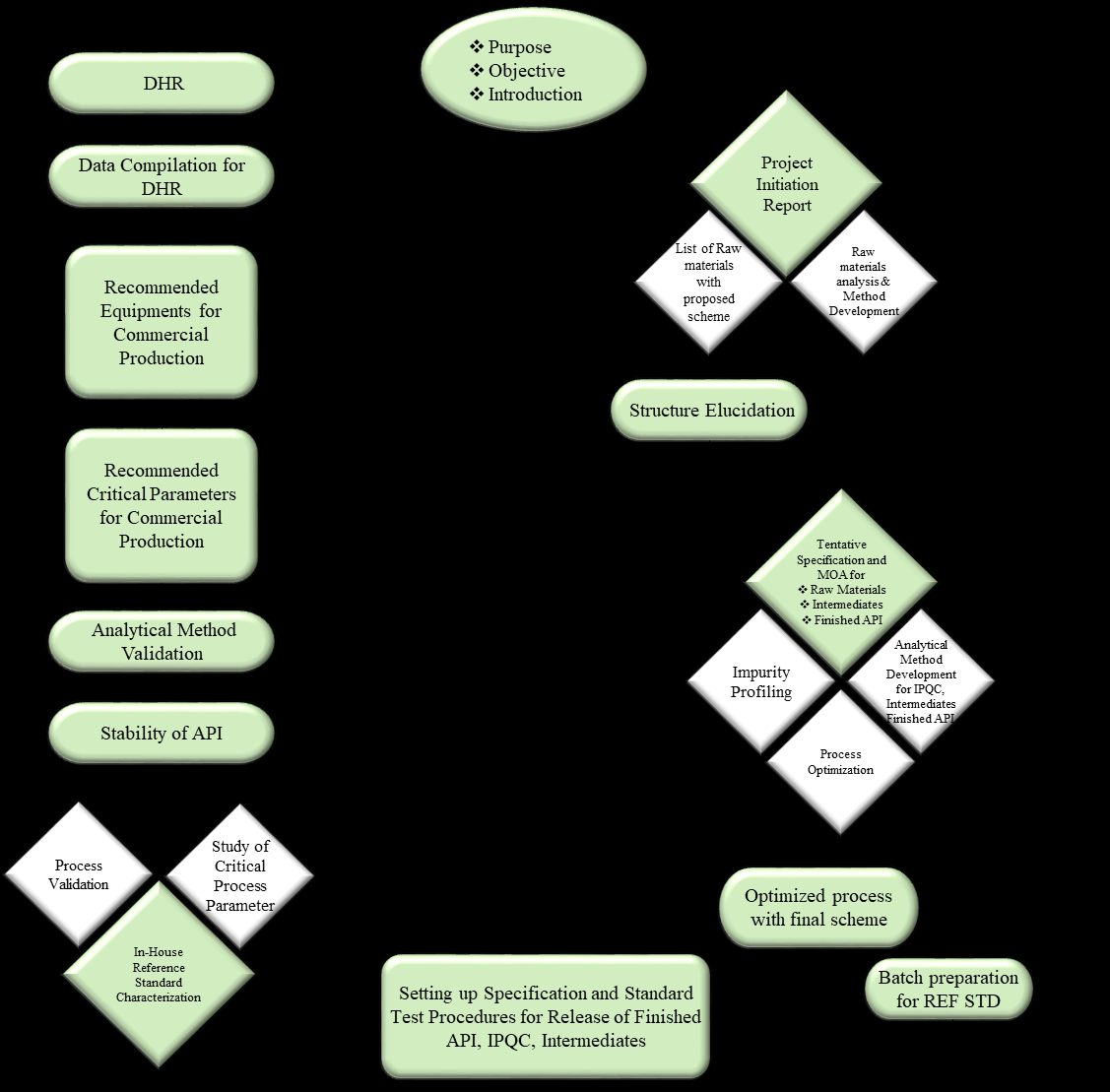 Figure 3: Flow sheet for the generation of the development history report (DHR) for a new drug.