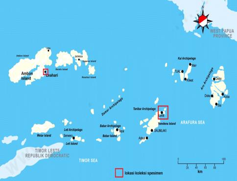 Figure 1: The location map of specimen collection of MRC (red square).
