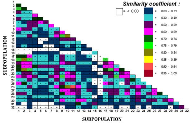 Figure 4: The PEM of 32 subpopulations of MRC based on binary data type using the Jaccard coefficient approach.