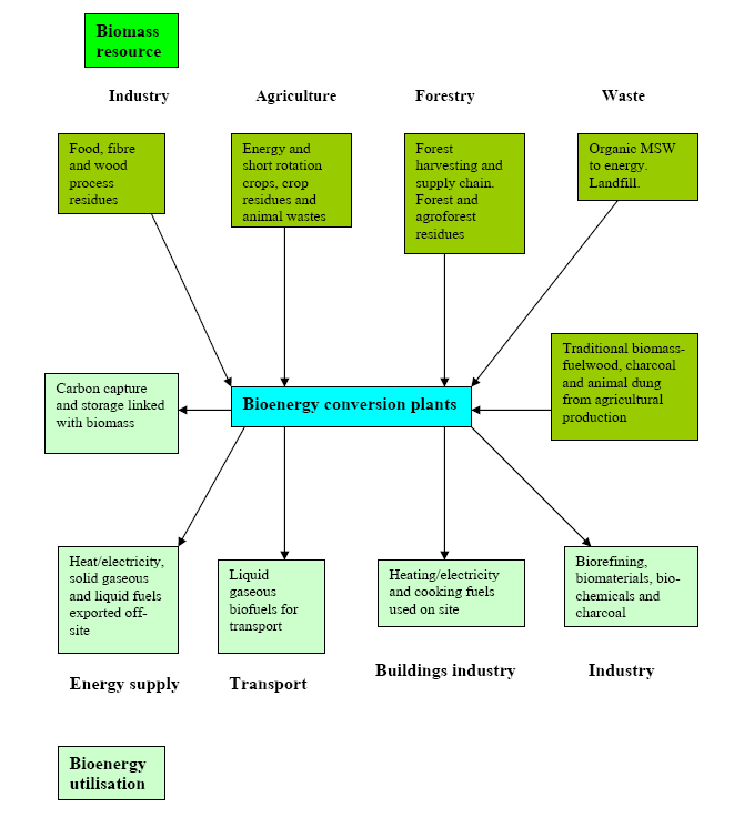 Figure 4: Biomass resources from several sources are converted into a range of products for use by transport, industry and building sectors [27].