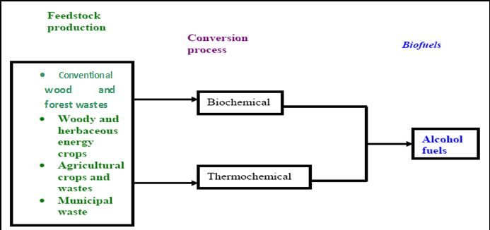 Figure 8: Biofuel pathways for renewable alcohol fuels [30].