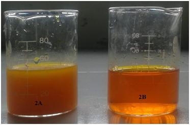 Figure 3: Flocculation produced by chromium sulphate (3A) and on addition of soap solution. Clear solution of chromium sulphate (3B). Acknowledgements: Authors acknowledge "Water for Welfare: An Uttarakhand Initiative" (WFW-UI) a Virtual Centre of Excellence, IIT Roorkee for the research grant. Conflict of interest: None